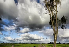 200粒三唑仑查获：海关严打毒品走私，守护国门安全